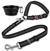 Paercute dog seat belt headrest attachment demonstrates secure restraint for car travel.