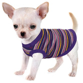 Paiaite dog shirt rib purple front view for year-round comfort in small breeds.