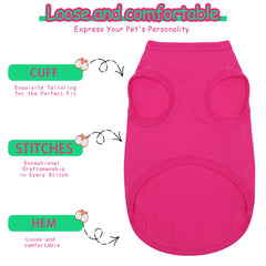 Paiaite Little Miss Sassy dog in rose red outdoors for comfortable, flexible walks.