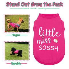 Paiaite Little Miss Sassy shirt back view showcases the print and breathable fabric.