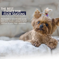 Paiaite pet clothes easy clean fabric for quick maintenance