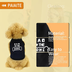 Paiaite versatile dog shirt worn as sweatshirt for chilly days.