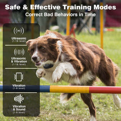 PaiPaitek collar vibration-beep combo for gentle training