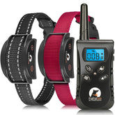 PaiPaitek vibrating collar for two dogs with remote setup promotes synchronized training