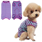 Paipeper dog recovery suit back view shows secure, comfortable wound protection.