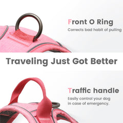 Pawaii Mimi Pink digital ID tag close-up with QR code for quick contact sharing