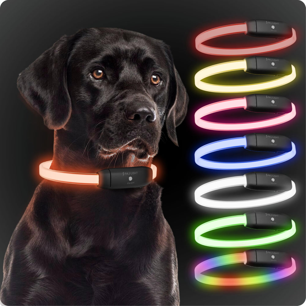 PAJ Light collar close-up shows bright glow for safer night walks.