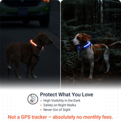 PAJ Light cut-to-fit neck demonstrates adaptable sizing for all pets.
