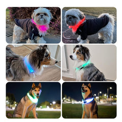 PAJ Light screw-lock keeps the collar secure during active play.