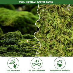 Pakimi moss bedding for snakes and geckos provides a soft surface