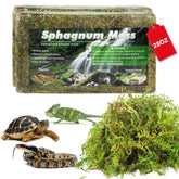 Pakimi sphagnum moss in terrarium humidity setup promotes stable moisture