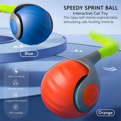 Pamerco Interactive Roller blue demonstrates motion-activated play that keeps indoor cats engaged.