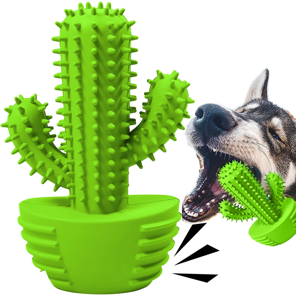 Pamlulu cactus tough chew toy in action for aggressive chewers