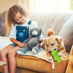 Pamlulu durable chew toy withstands tough chewers while promoting dental cleanliness