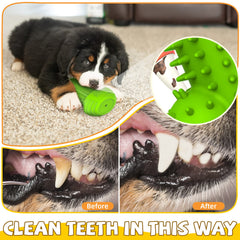 Pamlulu rubber squeaky toy provides interactive play and stress-relief through squeaks