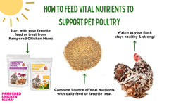 Pampered Chicken Mama easy-mix-with-feed shot showing hens accepting the blend during daily feeding.