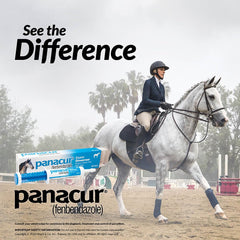 Panacur horse paste dosing syringe for precise application