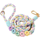 Panda Jianghu leash with floral handle adds stylish flair during daily walks