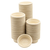 Pangea large paper crested gecko cups setup for mess-free dining