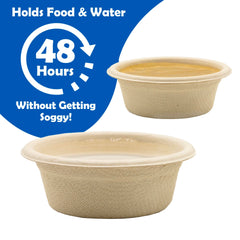 Pangea durable plant-fiber cups designed to hold liquids