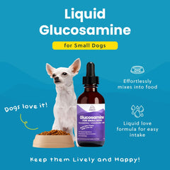 Paramount Pet Health small dog dosing guide for easy administration.
