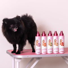Paris Hilton deodorizer label highlights vegan, sulfate-free formula