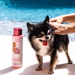 Paris Hilton Dog Shampoo oatmeal ingredient highlight promotes coat moisture