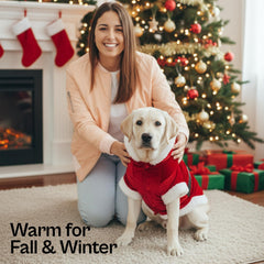 Parisian Pet Santa hoodie detail lamb-edge highlights soft warmth around neck