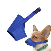 Parts Express dog muzzle blue on dog head shows secure, anti-slip fit for daily wear.