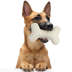 Pata Pal T-Bone dog toy closeup texture showing tough canvas weave