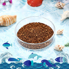 Patelai aquarium feeding dish transparent glass for easy observation