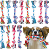 Paterr rope dog toy multi-color set for fetch and chew play