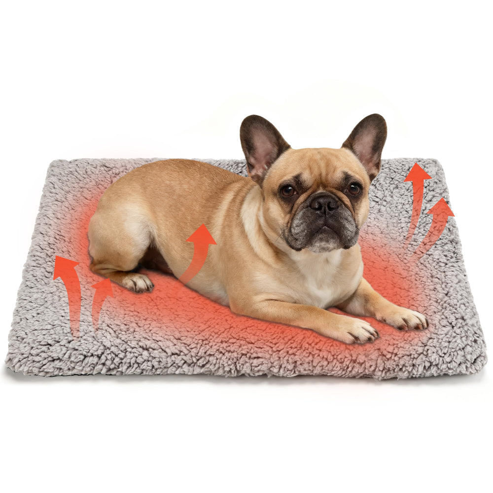 PatiencET self-warming cat bed front view highlights cozy warmth for indoor cats.