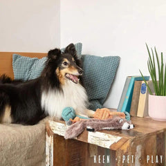 Patitas squeaky plush toy close-up with engaging sounds for puppies