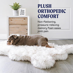 PAW BRANDS PupRug machine-washable cover simplifies cleanup after adventures.
