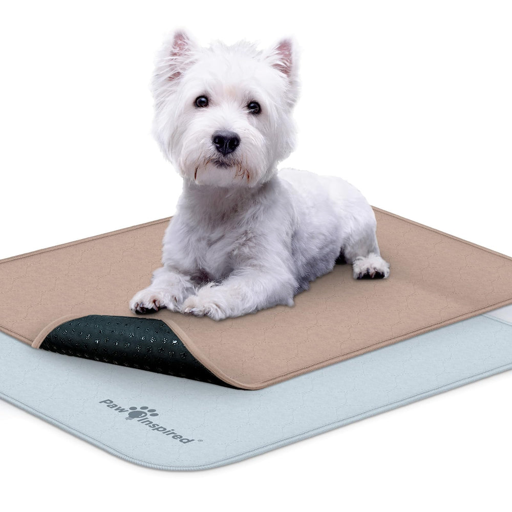Paw Inspired crate liner 24x18 in-crate keeps the crate clean and cozy for dogs.