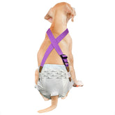 Paw Inspired purple back view shows secure diaper hold for active dogs during walks