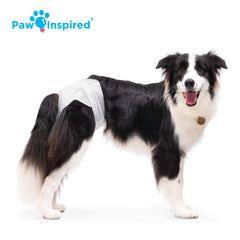 Paw Inspired diapers with fur-resistant fasteners keep diapers in place during play.