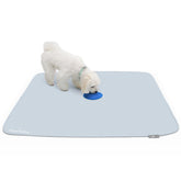 Paw Inspired Speed Spot blue patch visual target aids potty training and focus