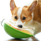 PAW QUEST Avocado wobble toy front view demonstrates non-spill dispenser for mess-free treats