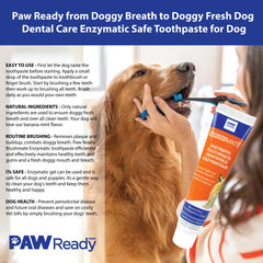 Paw Ready dog mouth after brushing looks fresher and cleaner
