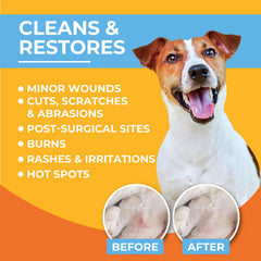 Paw Science Skin & Wound Care Spray applied to a dog's paw for gentle cleansing