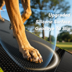 Pawaboo dog ramp with non-slip texture shows secure footing up and down.