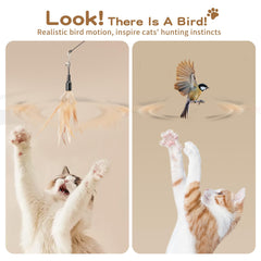 Pawaboo Feather Teaser cat playing action capturing dynamic movement and fun.