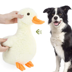 Pawaboo squeak plush duck toy head – interactive head squeaker for fetch.