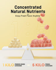 Pawaura Freeze Dried Chicken Treats closeup emphasizes crisp texture loved by pets.