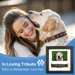 PAWCEPTIVE dog collar display frame shows two sizes for collars