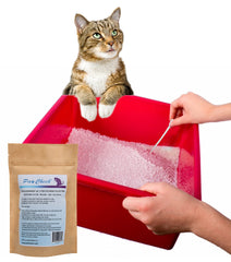 PawCheck pipette and tube shown for precise, easy urine sampling to share with vets.