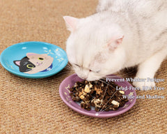 Pawdoer Ceramic Shallow Cat Dish kitten-use friendly for small breeds.