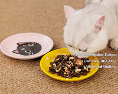 Pawdoer kitten-friendly cat plate shown for small pets and kittens.